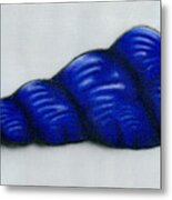 Cocoon Metal Print