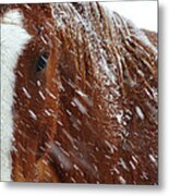 Cold Winter Day 13341 Metal Print