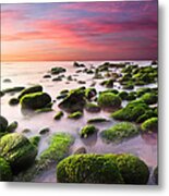 Color Harmony Metal Print