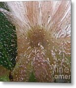 Color In Ice Series 128 Metal Print