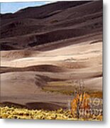 Colorado Sand Dunes Metal Print