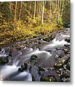 Colorado Stream - Fall Metal Print