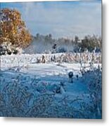 Colorado Waning Autumn And Approaching Winter Metal Print