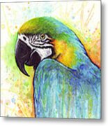 Macaw Watercolor Metal Print