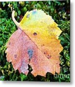 Colorful Fall Leaf Metal Print