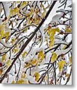 Colorful Maple Tree Branches In The Snow 3 Metal Print