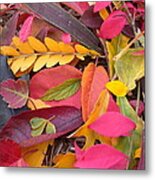 Colors Of Autumn #1 Metal Print