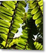 Come With Us#plant #plants #green #leaf Metal Print