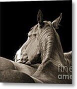 Comfort Metal Print