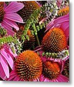 Cone Flowers And Mint Metal Print
