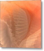 Confectioners Wings Metal Print