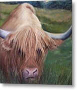 Coo Metal Print