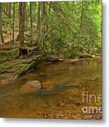 Cook Forest Green Canopy Metal Print