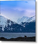 Cook Inlet Metal Print