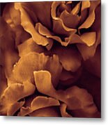 Copper Rose Floral Bouquet Metal Print