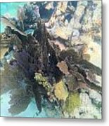 Coral Collage Metal Print