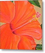 Coral Delight - Hibiscus Flower Metal Print
