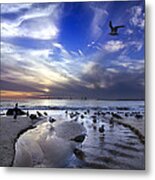 Corona Del Mar Metal Print