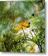 Cosmos Sharing It's Beauty Metal Print