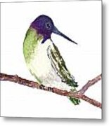 Costa Hummer Metal Print