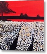 Cotton Field Metal Print