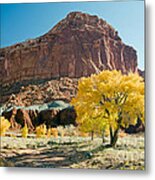 Cottonwoods In Fall The Castlecapitol Reef National Park Metal Print