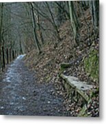 Couch In Nature Metal Print