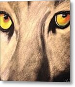 Cougar Eyes Metal Print