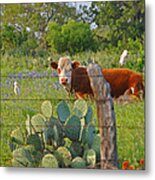 Country Friends Metal Print