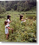 Country Girls Picking Wild Berries Metal Print