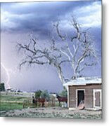 Country Horses Lightning Storm Co Metal Print