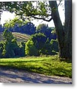 Country Landscape Metal Print