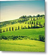 Country Road In Tuscany With Cypress Metal Print
