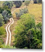 Country Road Of Tuscany Metal Print