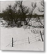 Countryside Fence Trees Near Aberdeen South Dakota 1965 Black And White Metal Print