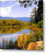 Cove Lake State Park Metal Print