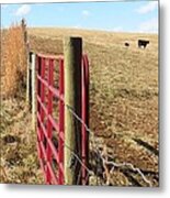 Cow In The Field Metal Print