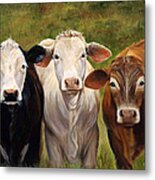 Cow Painting Of Three Amigos Metal Print