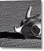 Cow Skull And Shadow Metal Print
