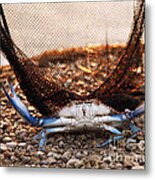 Crab Can We Talk? Metal Print