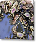 Crab Mentality Metal Print