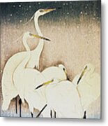 Cranes Metal Print