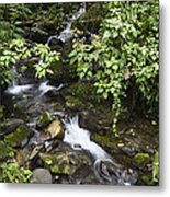 Creek Flowing Through Rainforest Costa Metal Print
