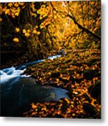 Creek In Autumn Metal Print