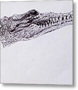 Croc Sketch Metal Print