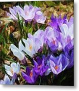 Crocus Fantasy Metal Print