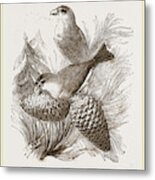 Crossbills Metal Print