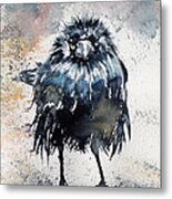 Crow After Rain Metal Print