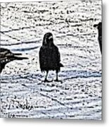 Crow Talk Metal Print