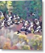 Crowded Sky Metal Print